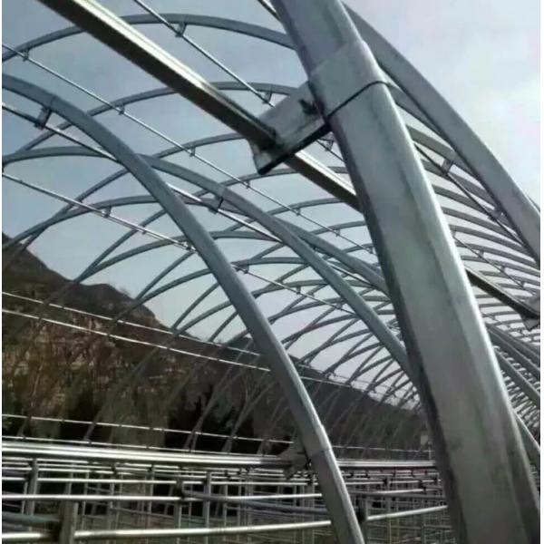 Plastic Film Agricultural Single-Span Greenhouses Accessories Galvanized Steel Pipes 6-12M Width