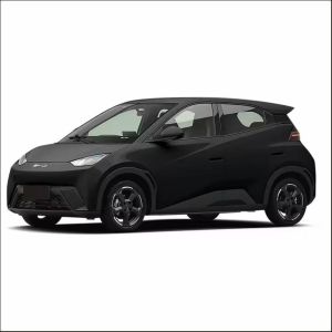 Maximum Speed 130 Km/H 2023 2024 Flying Edition 405km Long Range Energy Car EV