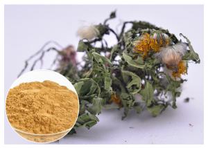China Lower Blood Pressure Herbal Plant Extract Flavones Dandelion Root Extract Powder on sale
