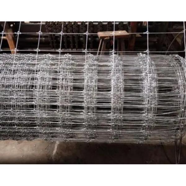 Galvanized Steel Cattle Fence Wire Mesh Fixed Knot For Farm OEM