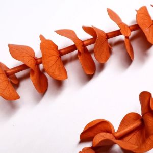 Lovely Preserve Eucalyptus Leaves , Eucalyptus Dried Flowers With Long Life