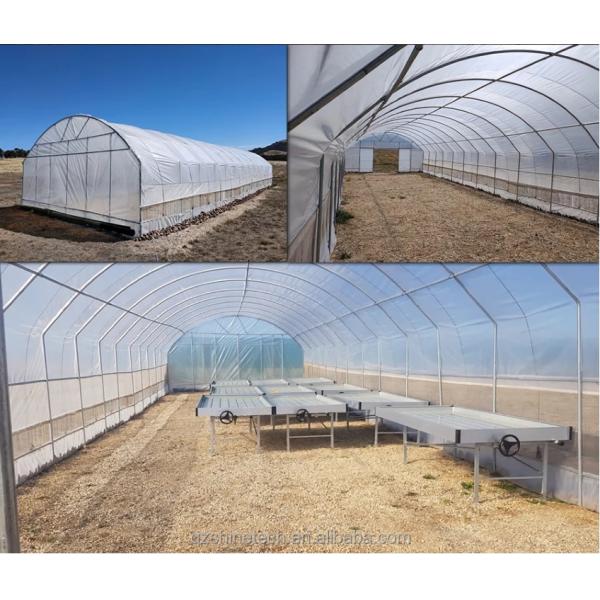 2.5-5M Height Tomato Hydroponic High Tunnel Agriculture Greenhouse with Film Cover