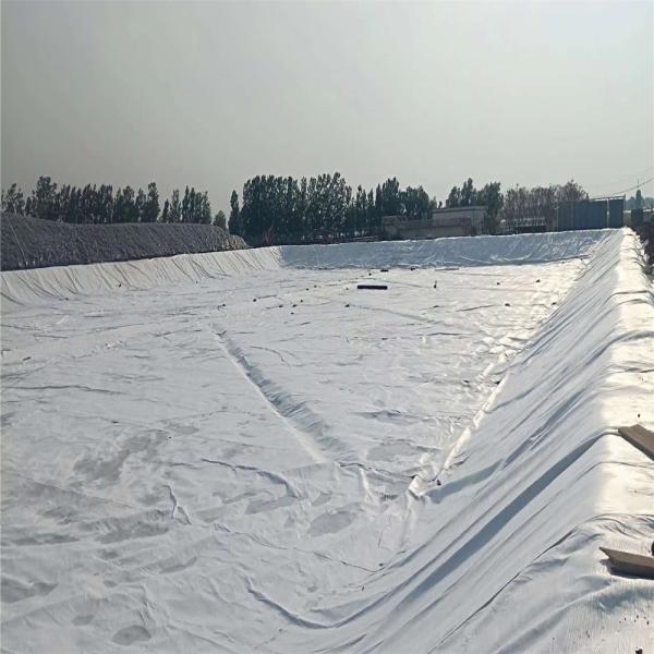 Road Railway Construction Nonwoven Geotextile for Agriculture 50-100m/roll Length