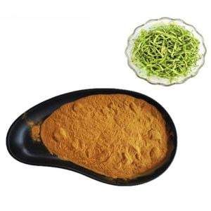 Quality Honeysuckle Flower Plant Extracts Chlorogenic Acid 5% Anti Virus for sale