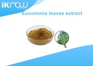 China Eucommia Leaf Chlorogenic Acid Powder / Eucommia Ulmoides Oliver Extract on sale