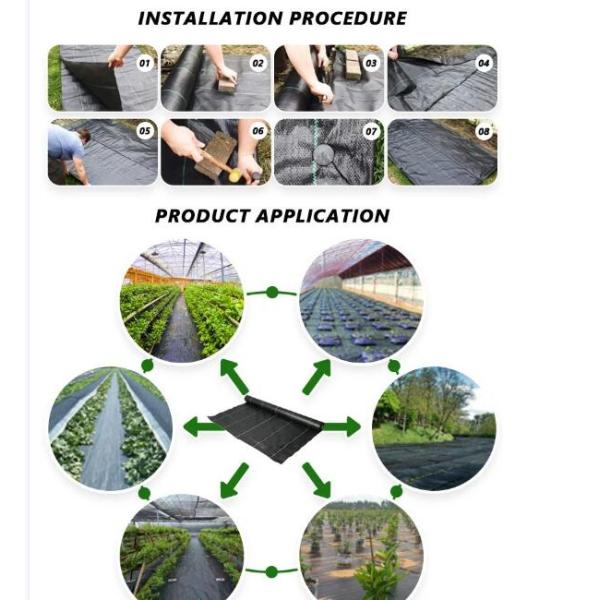 Roll Black Woven Ground Cover Weed Control Membrane Anti Weed Woven Fabric Factory Supply 80GSM 90GSM 100GSM