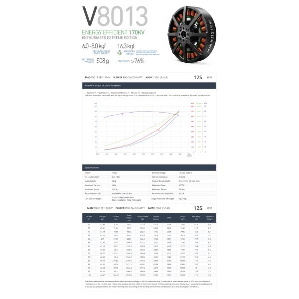 V8013 EEE V1.0 Brushless DC Motor