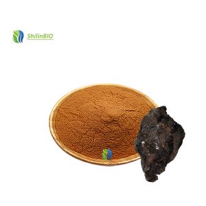 Quality Food Grade Supplements Shilajit Extract 50% Fulvic Acid Powder for sale