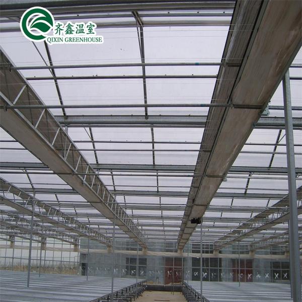 Customized Multi-span Vegetable Grow Tunnel Greenhouse for Vegetable Cultivation
