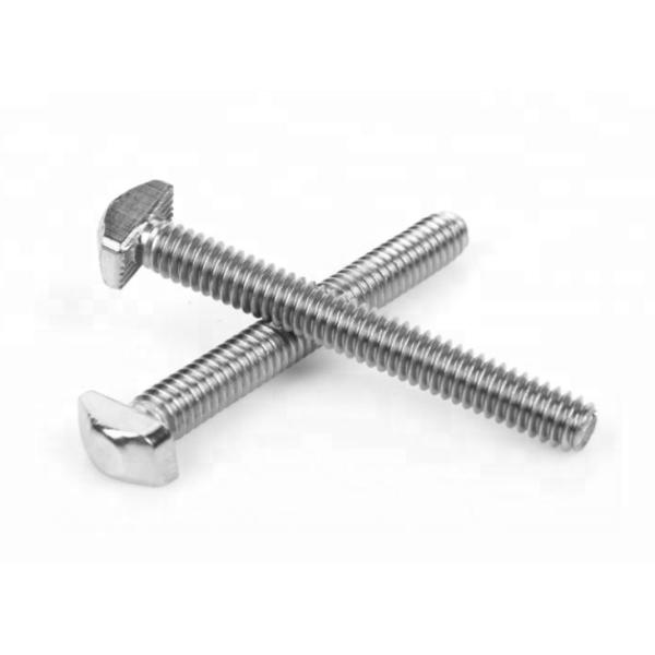 Polish Finish Track T Head Bolts A2-70 Stainless Steel T Bolts T Nut Bolts