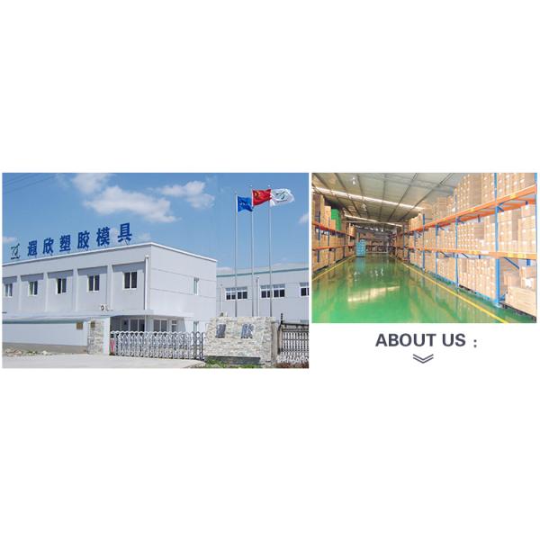 Multi Cavity Cell Phone Case Mold Maker LKM P20