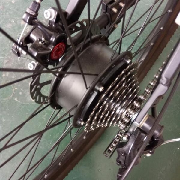 Smlro 29 Inch Electric Mountain Bike 1000w Rear Hub Motor 10AH