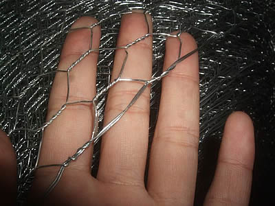 Galvanized Hexagonal Wire Netting