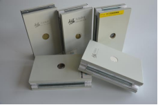 200mm Fire Resistant Cleanroom Panels Silicon Rock Pu Sandwich Panel For Cleanroom Wall