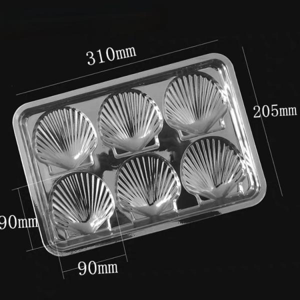 Custom Scallop Plastic Transparent 6 8 Cavity PET Tray 500g Plastic Seafood Packaging Insert Tray
