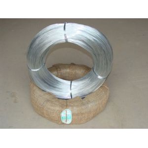 Quality Electro Galvanized Iron Wire for sale