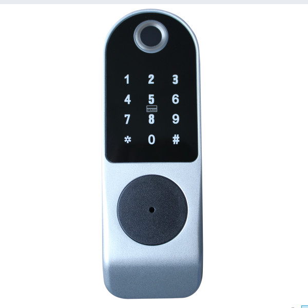 Digital Door Lock System Tuya APP Smart Lock Multi Function