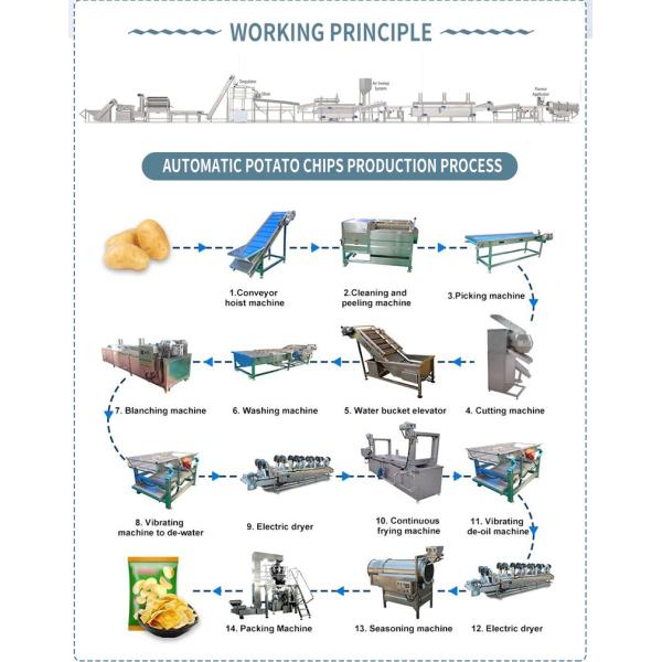 380V 50HZ Potato Chips Production Line SUS304