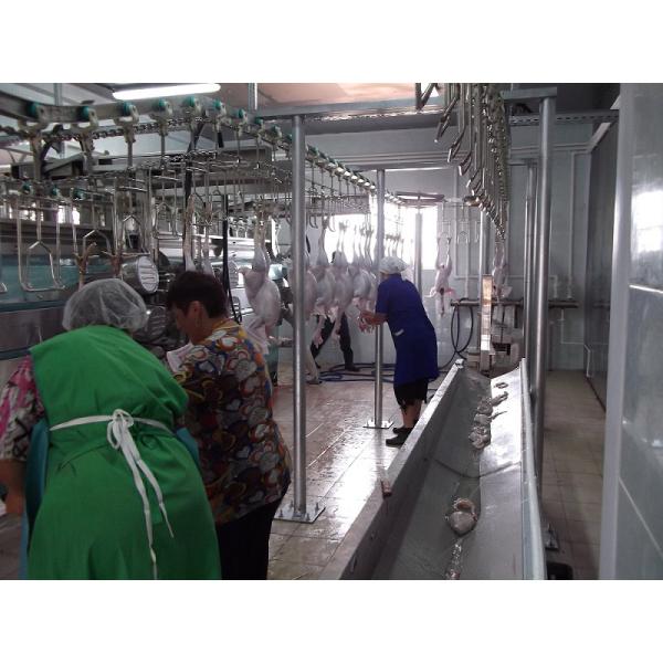 Halal Chicken Slaughterhouse Equipment 200-10000BPH For Poultry Manufacturing Plant