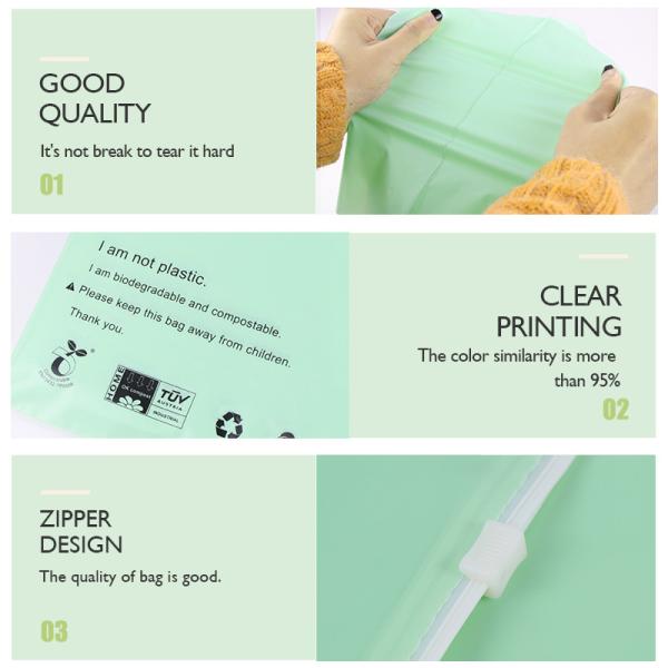 Frosted Biodegradable Packaging Bag