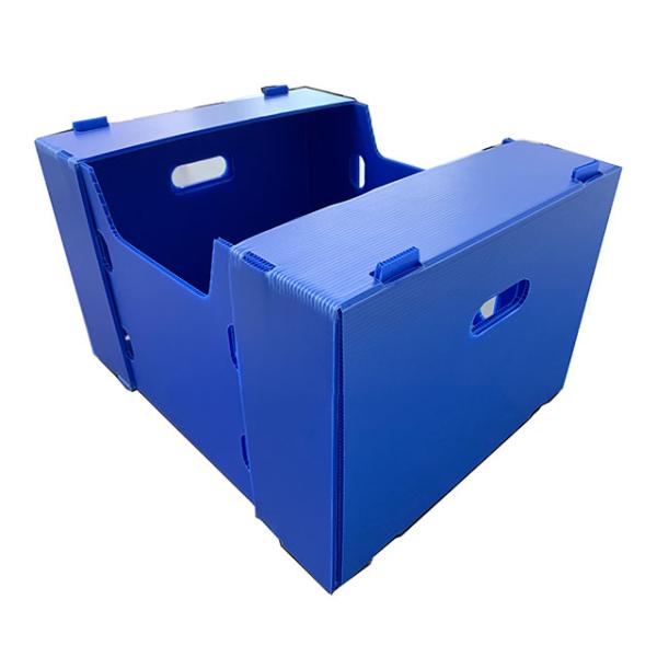 Turnover Corrugated Plastic Packaging Boxes Eggplant Correx Box