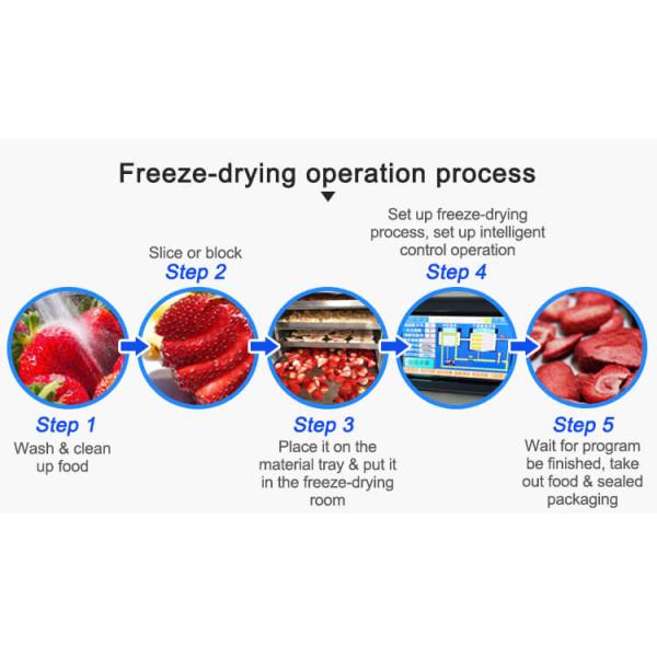 how to use freeze dryer