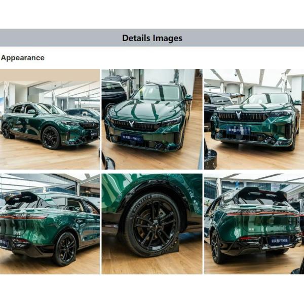 Automatic 2024 Voyah Free 4WD Dual Motor Energy Vehicles Hybrid and Full Electric Cars