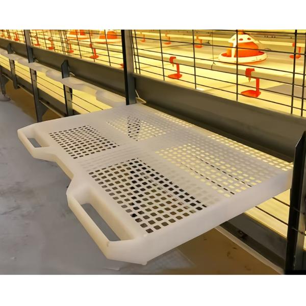 Poultry Farm Plastic Slatted Floor , Poultry Slatted Floor For Chicken House