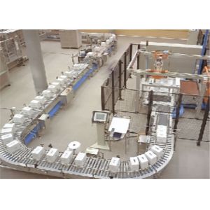 Quality Customized Roller Food Conveyor System Horizontal Type For Packing / Storing for sale