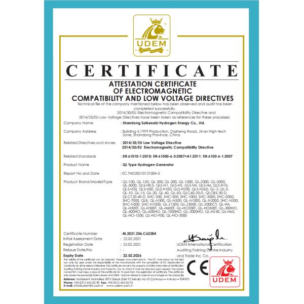 CE Certified 2000ml/min Hydrogen Generator for FID GC Production Rate 2000ml/min