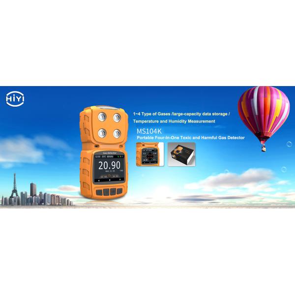 Multi Gas Leak Detector