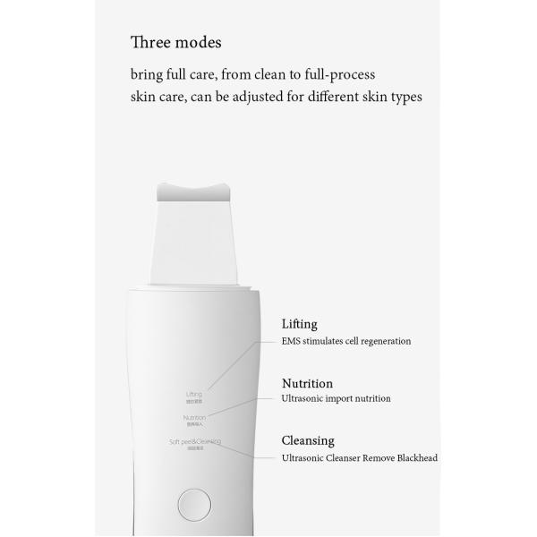 Clean Grimes Sonic Waves 330mA Ultrasonic Facial Cleaner