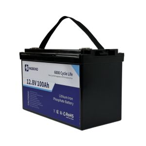 Quality 100 Ah 12.8 Volt LiFePO4 Lithium Battery For Multiple Power Needs for sale