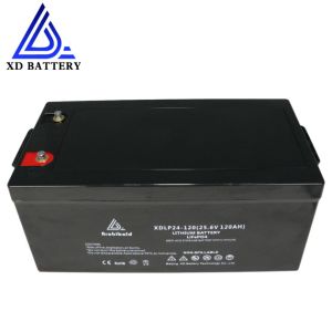 Quality Lithium Electric Scooters 24v Lifepo4 Battery High Energy Density for sale