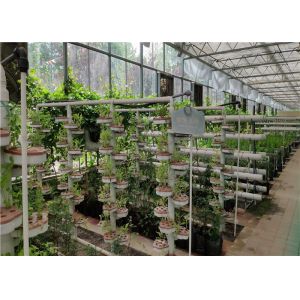 China Glass Cover Hydroponic Greenhouse Simple Structure With Large Inner Room on sale