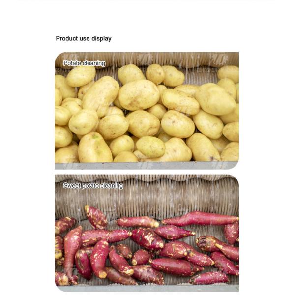Root Veg 1.5KW Commercial Potato Washer , Kiwifruit Lotus Root Potato Peeler Machine
