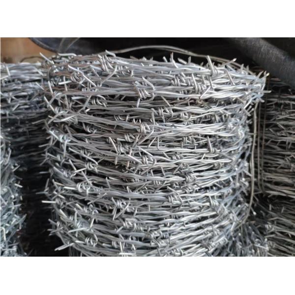 Electro Galvanized BWG12x12 Barbed Concertina Wire for Security Fencing