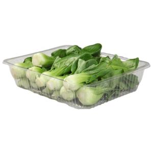 Food Grade PET 21.5*17*6cm Vegetable Packing Tray