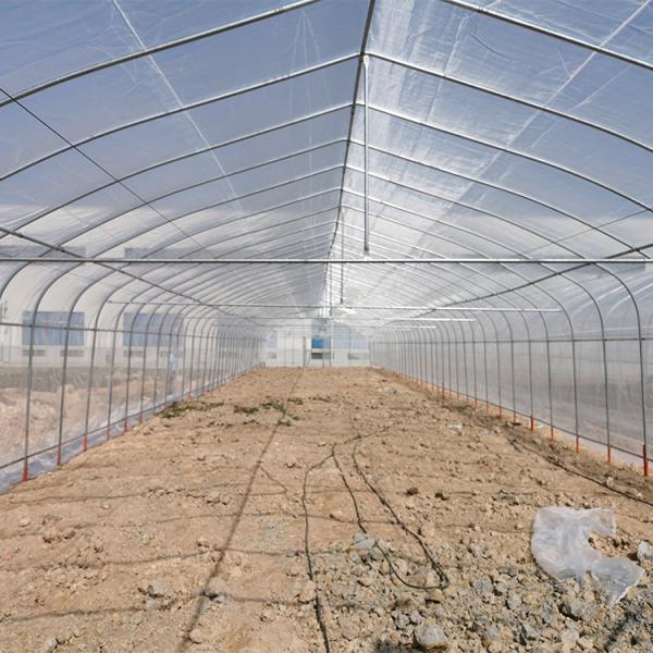 Agricultural Plastic Polytunnel Greenhouse For Vegetables And Seeding