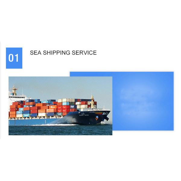 China Freight Forwarder China To Canada Forwarding Agent CIF DDU DDP