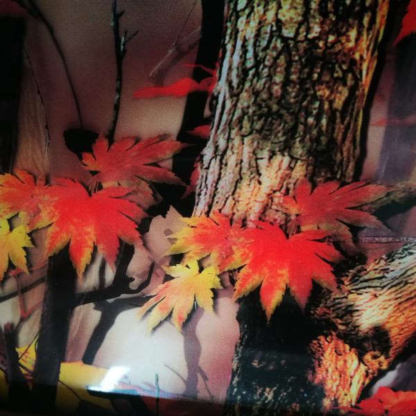 32um PVA Hydrographic Transfer Film With Maple Leaf Pattern