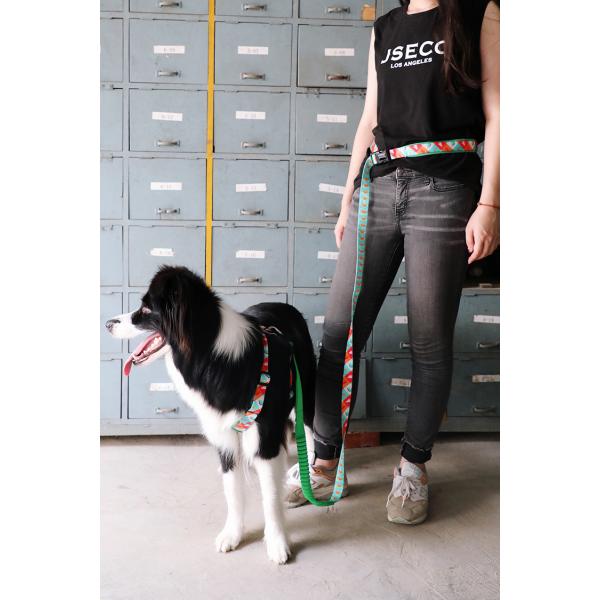 50 Ft 10 Foot Sublimation Dog Lead Pet Leash Harness Leash Combo