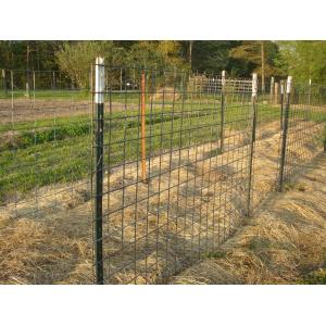 BBQ Area Chain Link Fence Fire Safety