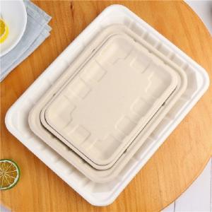 Eco Friendly Biodegradable Sugarcane Bagasse Tableware Disposable Compostable