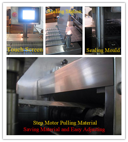 Three Phase Blister Packing Machine Automatic Aluminum Plastic 380V 50HZ