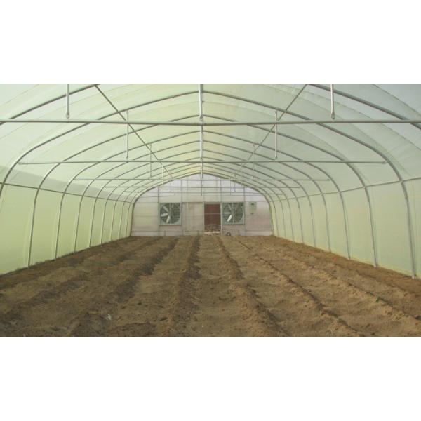 Full Open Roof Ventilation Tunnel Type Greenhouse for Agricualtural Farming