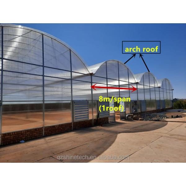 4m Bay Width Polycarbonate Greenhouse Installation Drawing and Galvanized Steel Frame