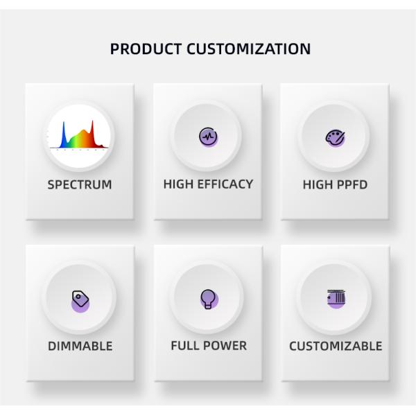 Dimmable Top LED Grow Lights Full Spectrum 800 Watt LED Grow Light