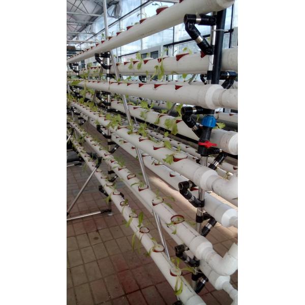 Factory outlet hydroponic system multi-layers growing system save water and eazy growing