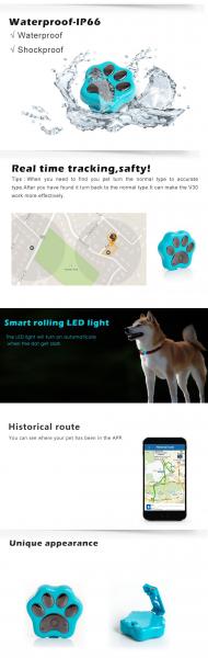 WIFI anti-lost waterproof anywhere gps tracker pet/dog with free online software sim card